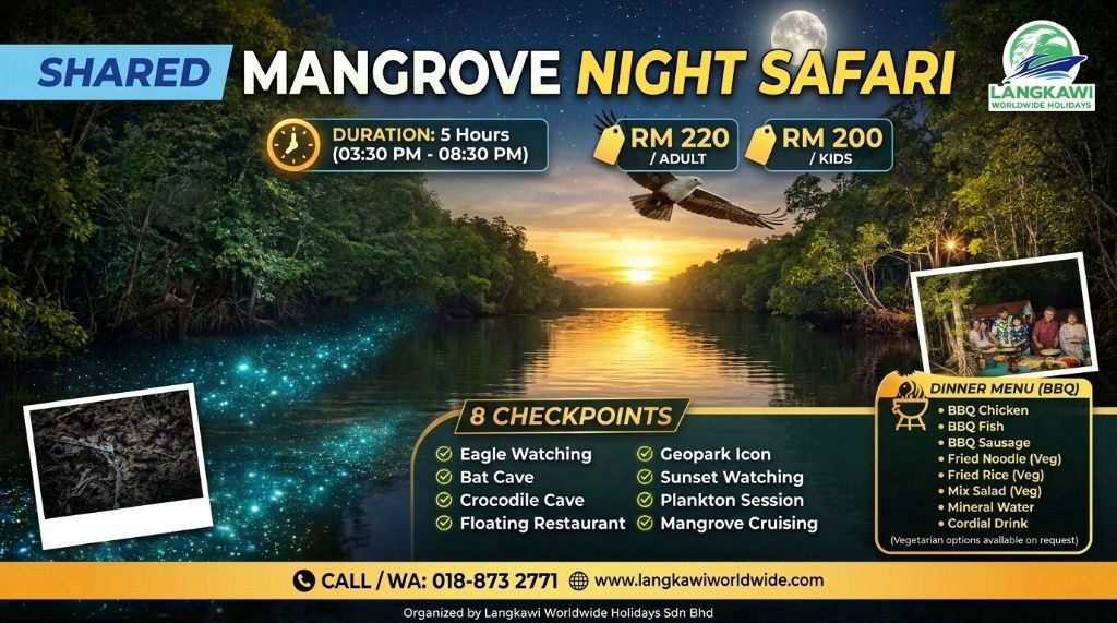 Mangrove Night Safari