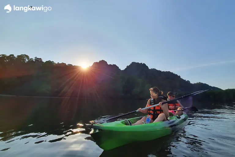 Mangrove Kayaking Tour Langkawi – Kilim Geoforest Park (2 Hours) without Hotel Pickup