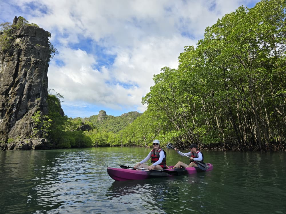 Our Customer Experience: Mangrove Kayaking