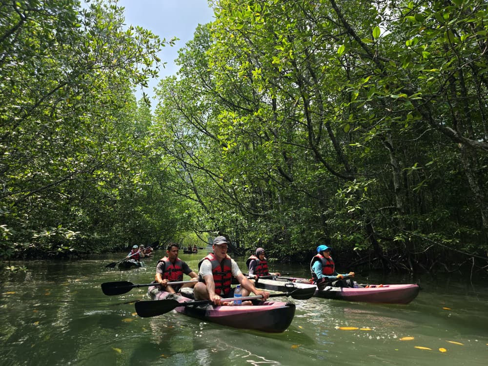 Our Customer Experience: Mangrove Kayaking