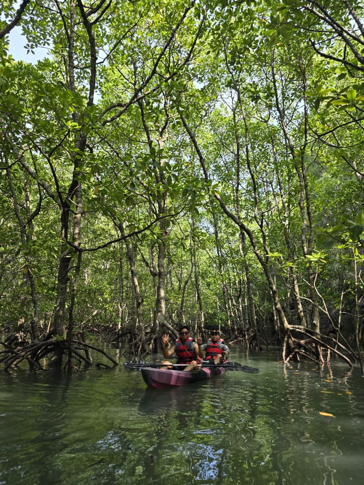 Our Customer Experience: Mangrove Kayaking
