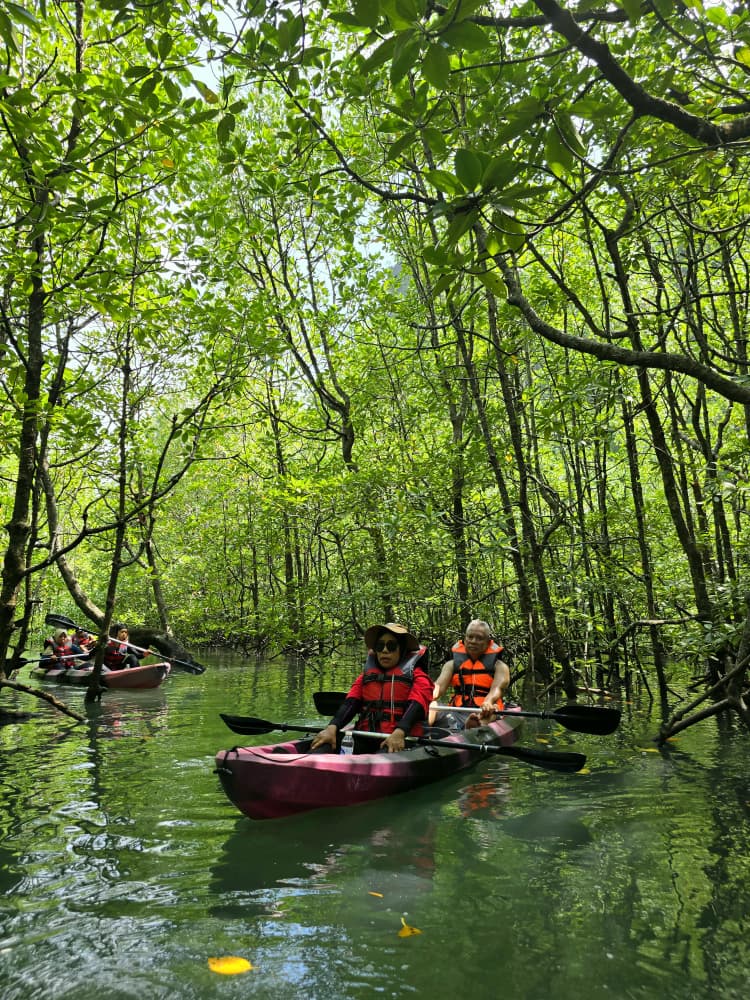 Our Customer Experience: Mangrove Kayaking