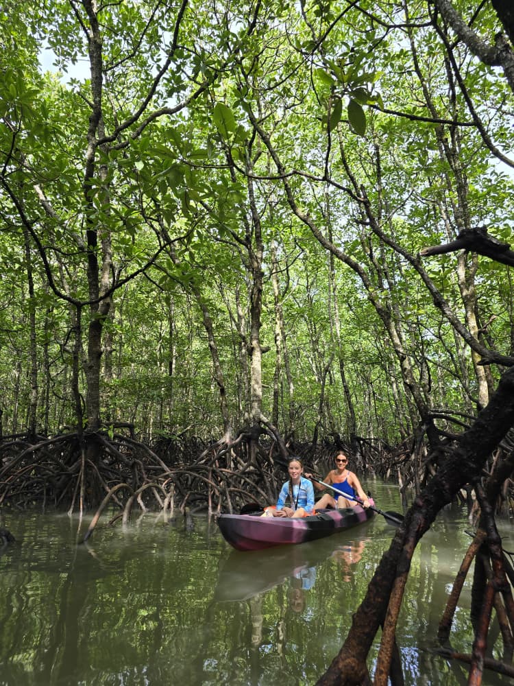 Our Customer Experience: Mangrove Kayaking
