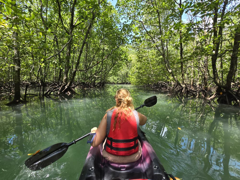 Our Customer Experience: Mangrove Kayaking